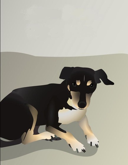1: Illustrator