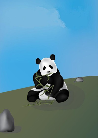 1: Illustrator
